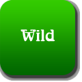 Wild