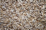 Kreuzkümmel (Bild: Ajale/pixabay)